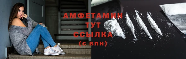 меф Пересвет