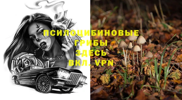 меф Пересвет